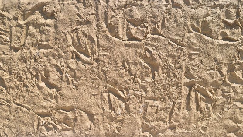 Imagen del panel arenisca clara en detalle