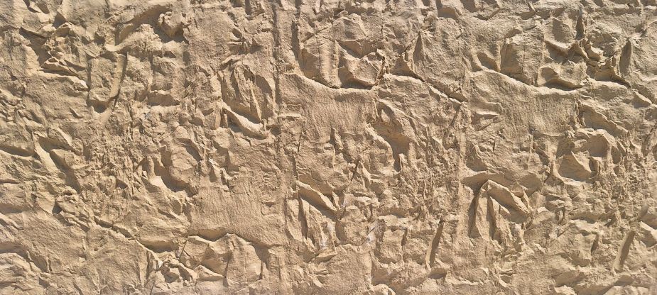 Imagen del panel arenisca clara en detalle